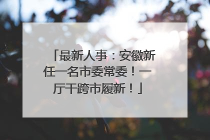 最新人事：安徽新任一名市委常委！一厅干跨市履新！