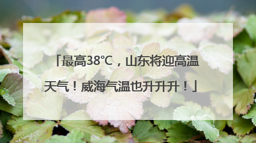 最高38℃，山东将迎高温天气！威海气温也升升升！