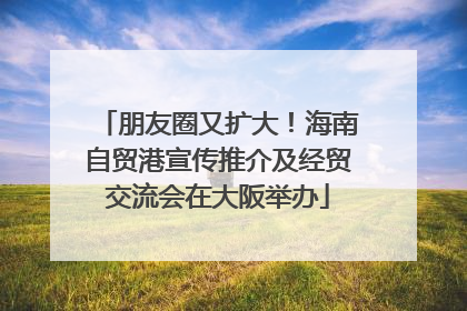 朋友圈又扩大！海南自贸港宣传推介及经贸交流会在大阪举办