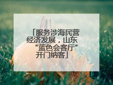 服务涉海民营经济发展，山东“蓝色会客厅”开门纳客