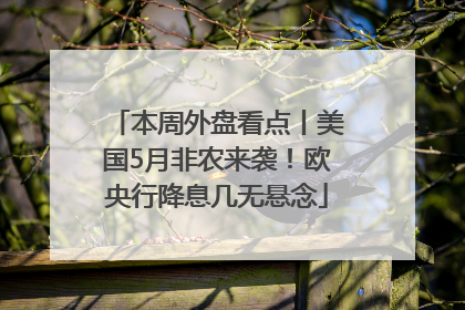 本周外盘看点丨美国5月非农来袭！欧央行降息几无悬念