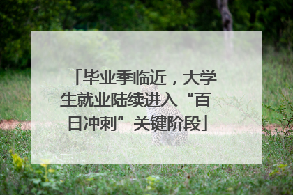 毕业季临近，大学生就业陆续进入“百日冲刺”关键阶段