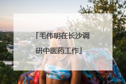 毛伟明在长沙调研中医药工作