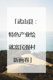 武山县：特色产业绘就富民强村新画卷