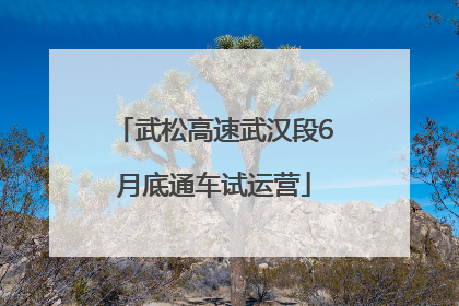 武松高速武汉段6月底通车试运营