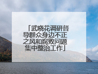 武晓花调研督导群众身边不正之风和腐败问题集中整治工作