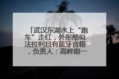 武汉东湖水上“跑车”走红，外形酷似法拉利且有蓝牙音箱，负责人：高峰期一两百人排队