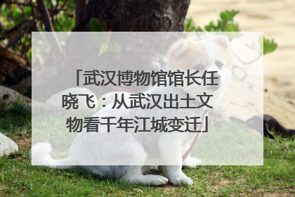 武汉博物馆馆长任晓飞：从武汉出土文物看千年江城变迁