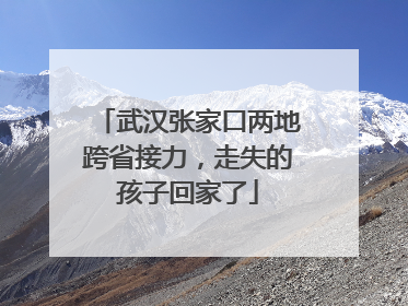 武汉张家口两地跨省接力，走失的孩子回家了