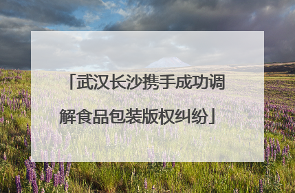 武汉长沙携手成功调解食品包装版权纠纷
