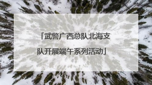 武警广西总队北海支队开展端午系列活动