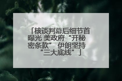 核谈判幕后细节首曝光 美政府“开秘密条款” 伊朗坚持“三大底线”