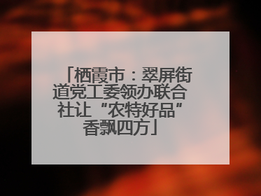 栖霞市：翠屏街道党工委领办联合社让“农特好品”香飘四方