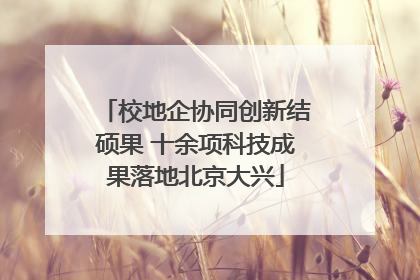 校地企协同创新结硕果 十余项科技成果落地北京大兴