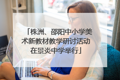 株洲、邵阳中小学美术新教材教学研讨活动在景炎中学举行
