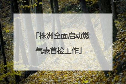 株洲全面启动燃气表首检工作