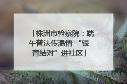 株洲市检察院：端午普法传温情 “银青结对”进社区