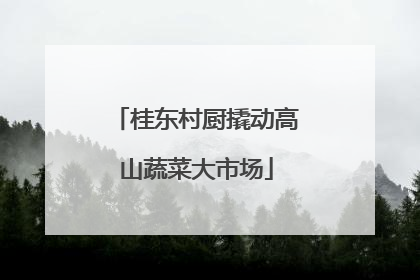 桂东村厨撬动高山蔬菜大市场