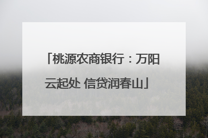 桃源农商银行：万阳云起处 信贷润春山