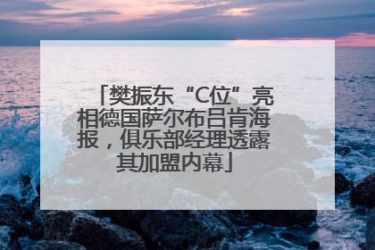 樊振东“C位”亮相德国萨尔布吕肯海报，俱乐部经理透露其加盟内幕