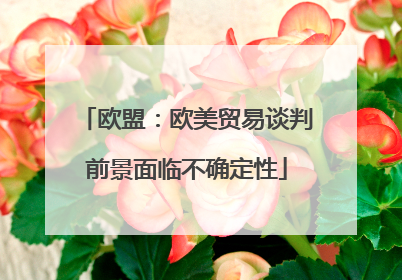 欧盟：欧美贸易谈判前景面临不确定性