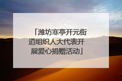 潍坊寒亭开元街道组织人大代表开展爱心捐赠活动