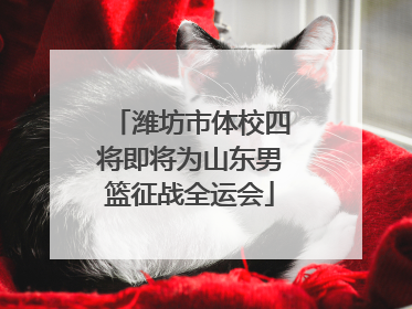 潍坊市体校四将即将为山东男篮征战全运会