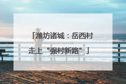 潍坊诸城：岳西村走上“强村新路”