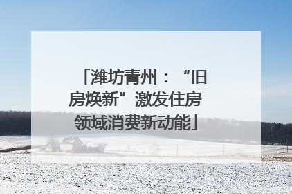 潍坊青州：“旧房焕新”激发住房领域消费新动能