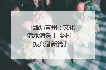 潍坊青州：文化活水润沃土 乡村振兴谱新篇