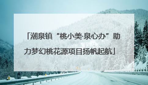 潮泉镇“桃小美·泉心办”助力梦幻桃花源项目扬帆起航