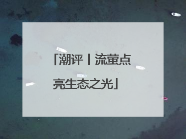 潮评丨流萤点亮生态之光