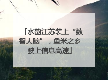 水韵江苏装上“数智大脑”，鱼米之乡驶上信息高速
