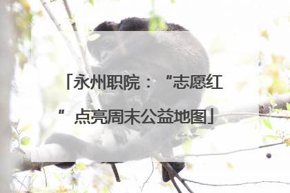 永州职院：“志愿红”点亮周末公益地图