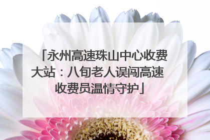 永州高速珠山中心收费大站：八旬老人误闯高速 收费员温情守护