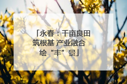 永春：千亩良田筑根基 产业融合绘“丰”景