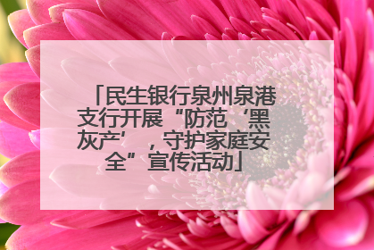 民生银行泉州泉港支行开展“防范‘黑灰产’，守护家庭安全”宣传活动