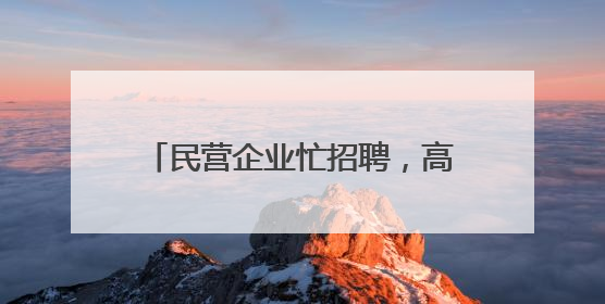 民营企业忙招聘，高技能人才很吃香——河北省个体私营企业网络招聘大会扫描