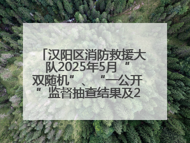 汉阳区消防救援大队2025年5月“双随机”、“一公开”监督抽查结果及2025年6月监督抽查任务公示