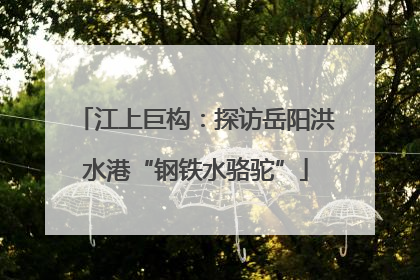 江上巨构：探访岳阳洪水港“钢铁水骆驼”