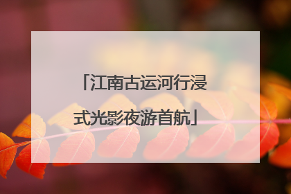 江南古运河行浸式光影夜游首航