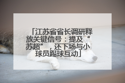 江苏省省长调研释放关键信号：提及“苏超”，还下场与小球员踢球互动