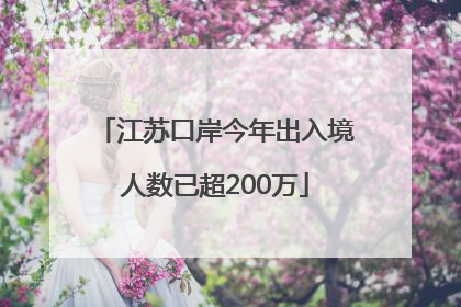 江苏口岸今年出入境人数已超200万