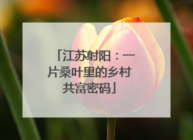 江苏射阳：一片桑叶里的乡村共富密码