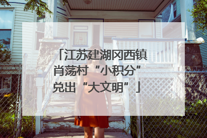 江苏建湖冈西镇肖荡村“小积分”兑出“大文明”