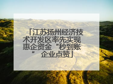 江苏扬州经济技术开发区率先实现惠企资金“秒到账” 企业点赞