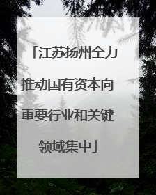 江苏扬州全力推动国有资本向重要行业和关键领域集中