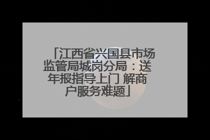 江西省兴国县市场监管局城岗分局：送年报指导上门 解商户服务难题