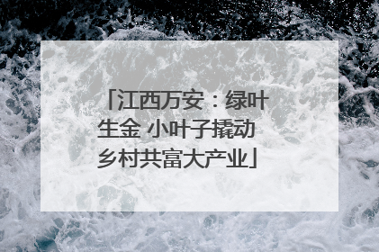 江西万安：绿叶生金 小叶子撬动乡村共富大产业