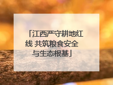 江西严守耕地红线 共筑粮食安全与生态根基